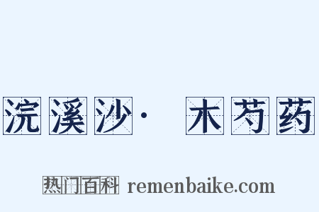 浣溪沙·木芍药是什么意思的图片